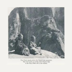 性裸交XXXXX免费无码刘亦菲
